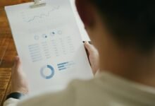 project summary report details