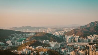 sector development overview report