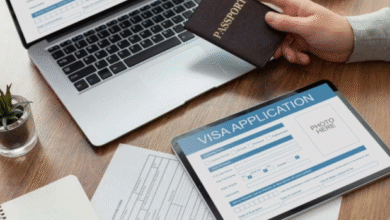 Why a Immigration Agent Is Key to Migration Success