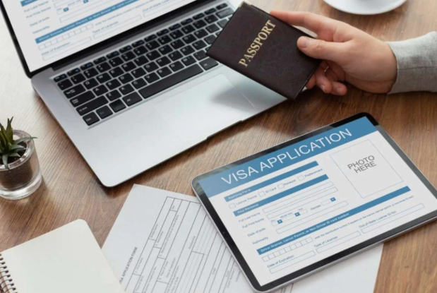 Why a Immigration Agent Is Key to Migration Success