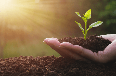 Building a Life Rooted in the Land