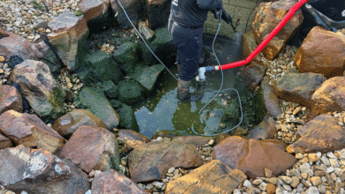 Local Pond Cleaning Guy for Pond Revival and Care Plans