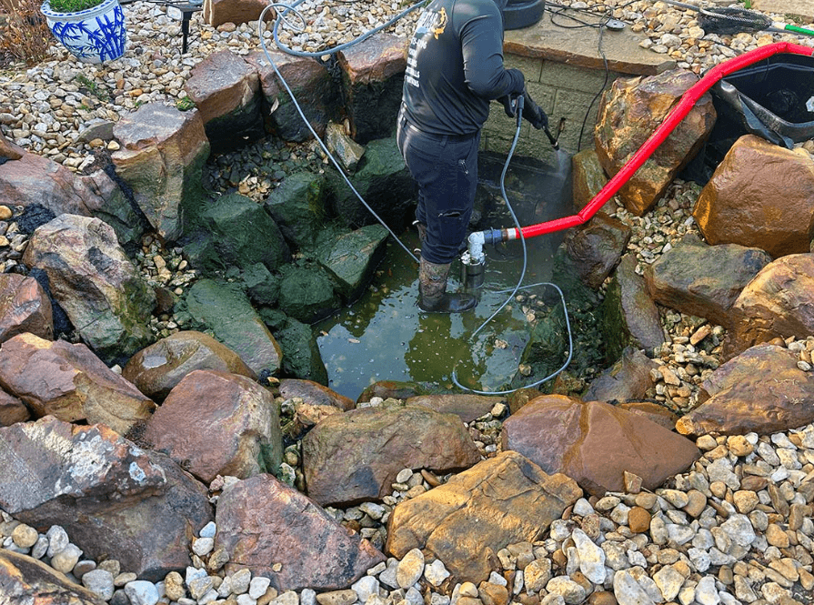 Local Pond Cleaning Guy for Pond Revival and Care Plans