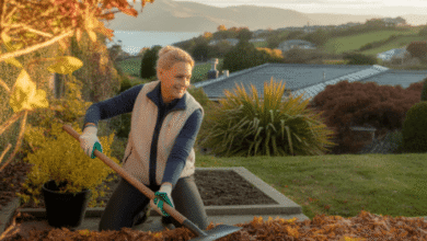 Soil Preparation Tips for Camden Lawn Projects