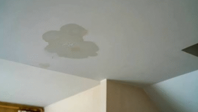 The Attic Smells Wrong Long Before The Ceiling Stains