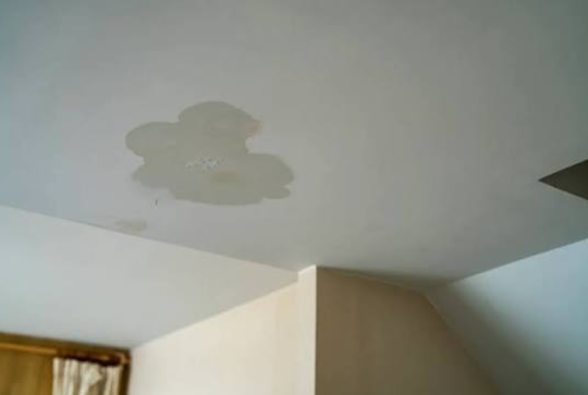 The Attic Smells Wrong Long Before The Ceiling Stains