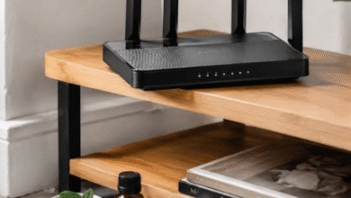 Ants In The Router Cabinet Cost More Than One Service Call